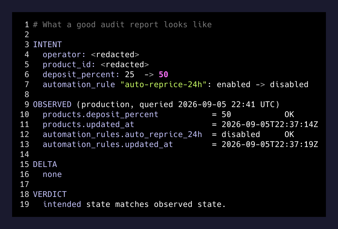 Field-by-field audit report from the second agent, sanitized.