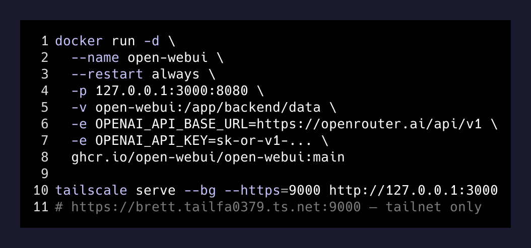 Docker run command