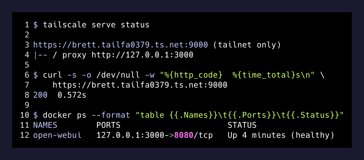 tailscale serve status after the switch